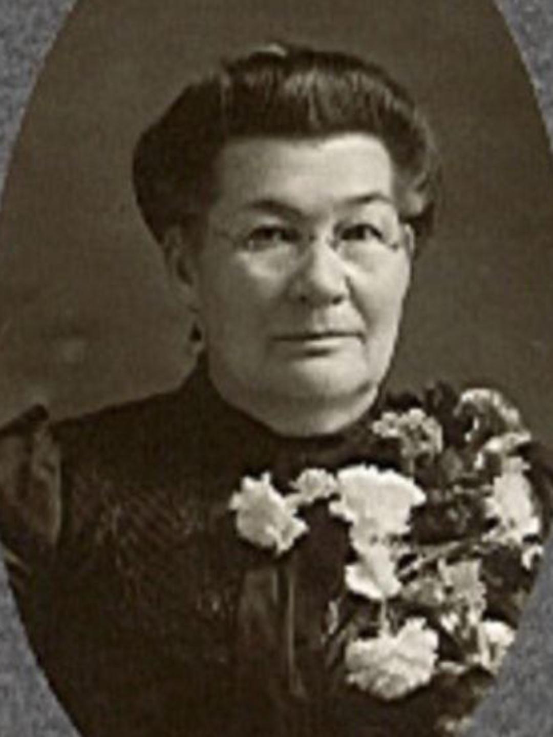 Mary Adelia Hardy (1839 - 1915) Profile